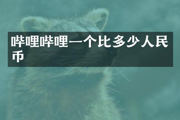 哔哩哔哩一个比多少