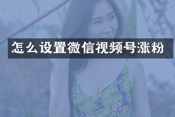 怎么设置微信视频号涨粉