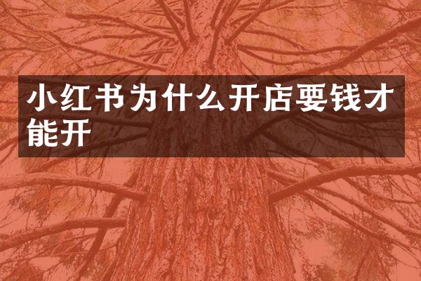 小红书为什么开店要钱才能开