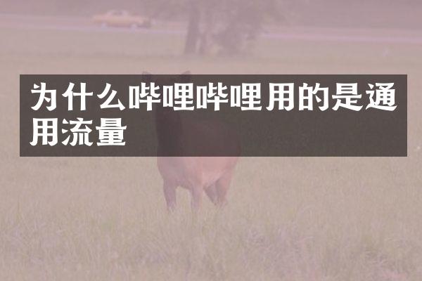 为什么哔哩哔哩用的是通用流量