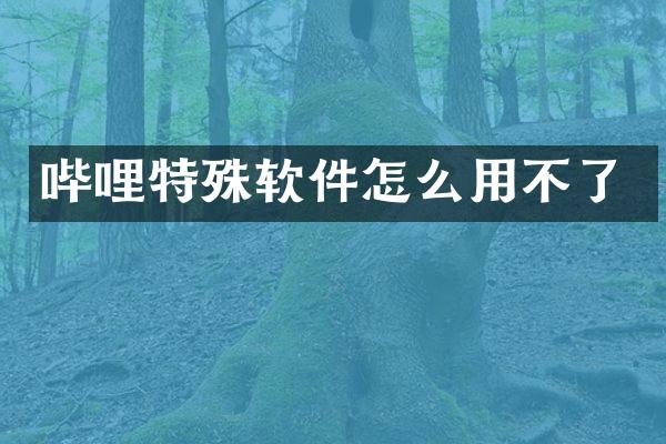哔哩特殊软件怎么用不了