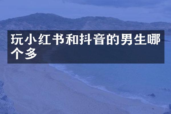 玩小红书和抖音的男生哪个多