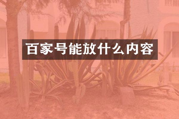 百家号能放什么内容