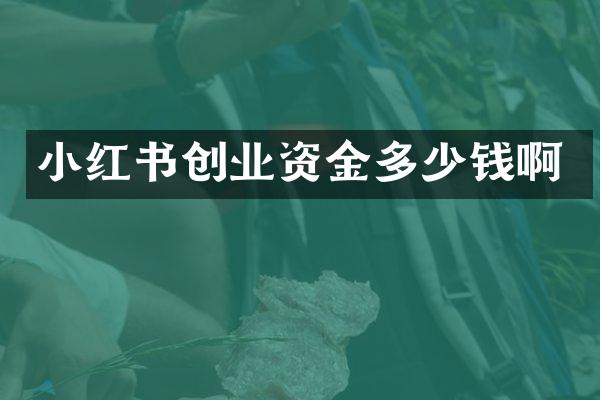 小红书创业资金多少钱啊