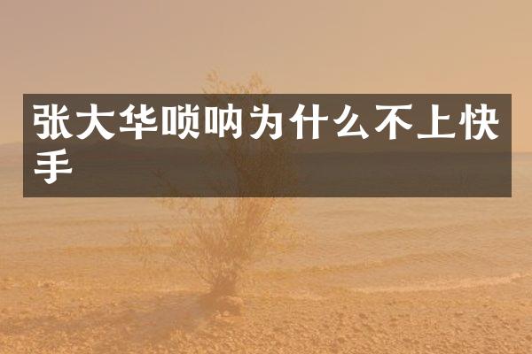 张大华唢呐为什么不上快手