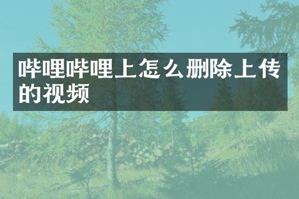 哔哩哔哩上怎么删除上传的视频
