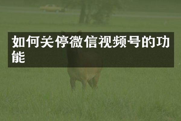 如何关停微信视频号的功能