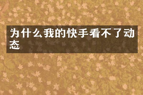 为什么我的快手看不了动态