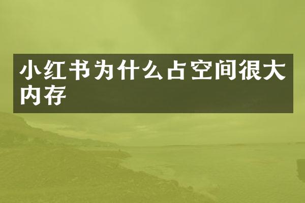 小红书为什么占空间很大内存