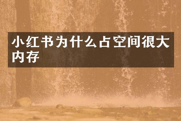 小红书为什么占空间很大内存