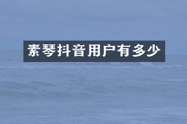 素琴抖音用户有多少