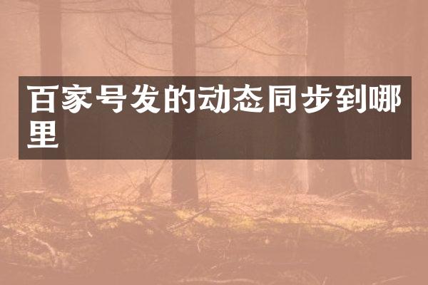 百家号发的动态同步到哪里