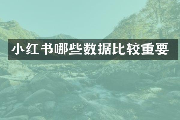 小红书哪些数据比较重要