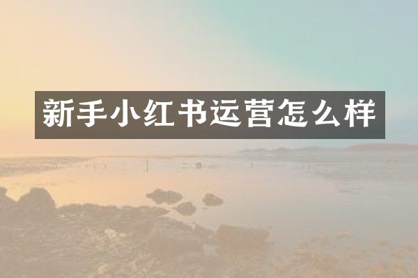 新手小红书运营怎么样