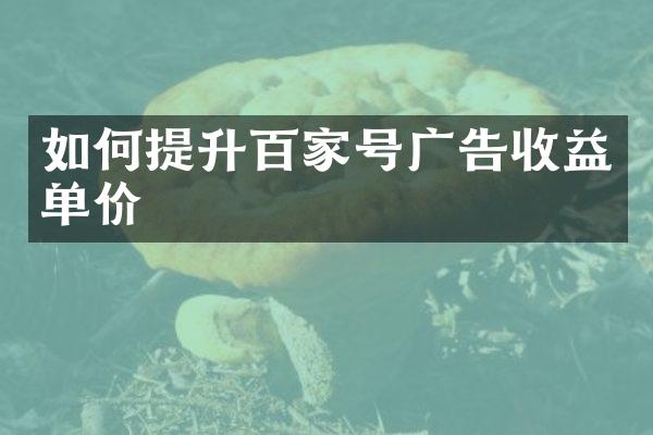 如何提升百家号广告收益单价