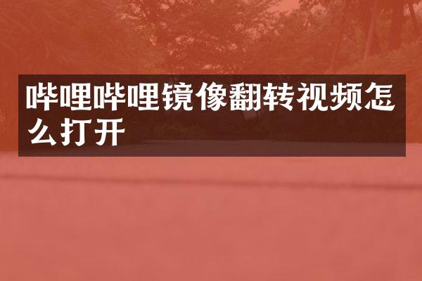 哔哩哔哩镜像翻转视频怎么打开