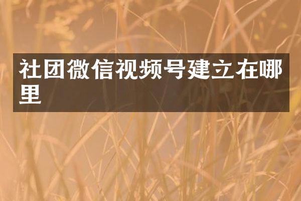 社团微信视频号建立在哪里