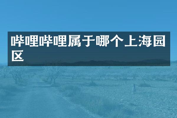 哔哩哔哩属于哪个上海园区