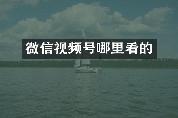 微信视频号哪里看的