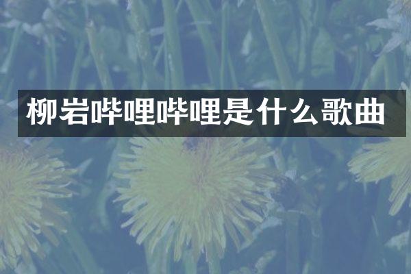 柳岩哔哩哔哩是什么歌曲