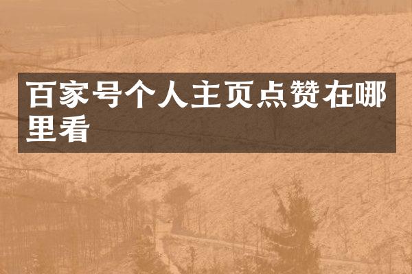 百家号个人主页点赞在哪里看