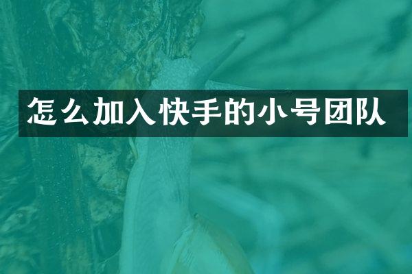 怎么加入快手的小号团队