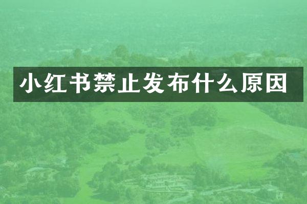 小红书禁止发布什么原因
