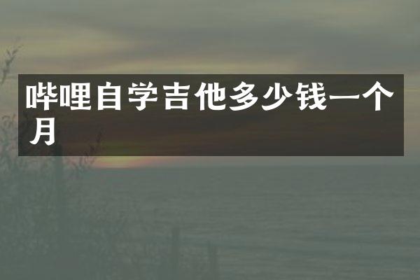 哔哩自学吉他多少钱一个月
