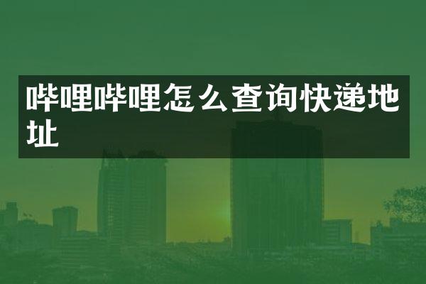 哔哩哔哩怎么查询快递地址
