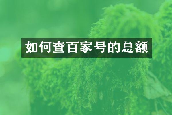 如何查百家号的总额