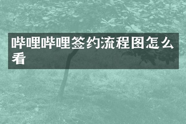 哔哩哔哩签约流程图怎么看