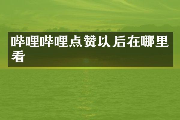 哔哩哔哩点赞以后在哪里看
