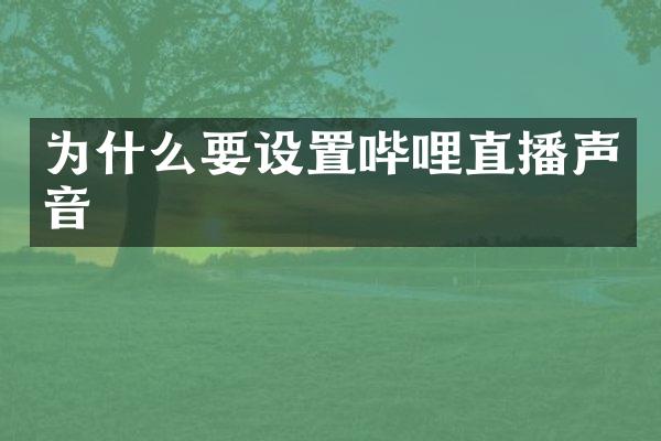 为什么要设置哔哩直播声音