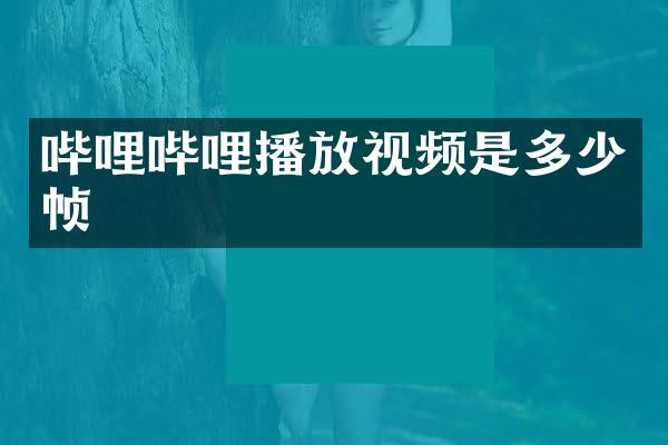 哔哩哔哩播放视频是多少帧