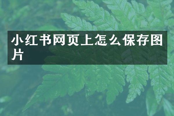 小红书网页上怎么保存图片