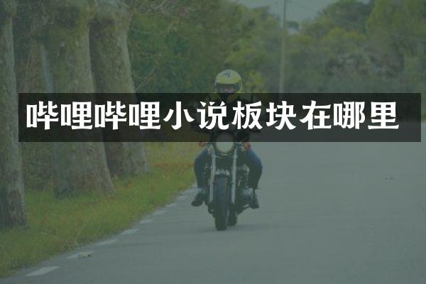 哔哩哔哩小说板块在哪里