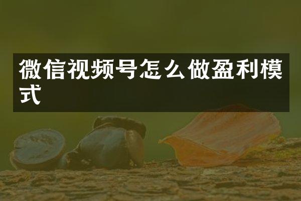 微信视频号怎么做盈利模式