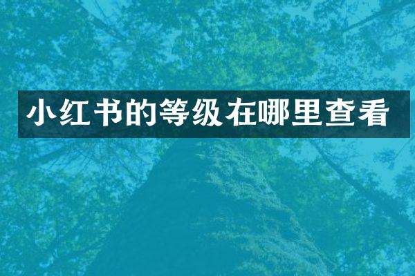 小红书的等级在哪里查看