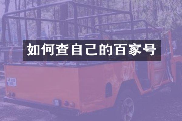 如何查自己的百家号