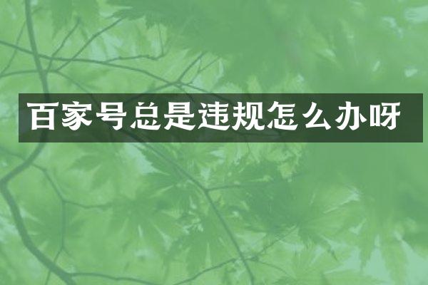 百家号总是违规怎么办呀