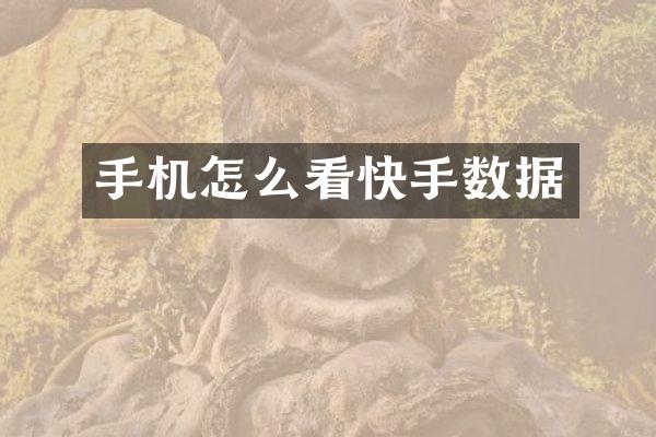 手机怎么看快手数据