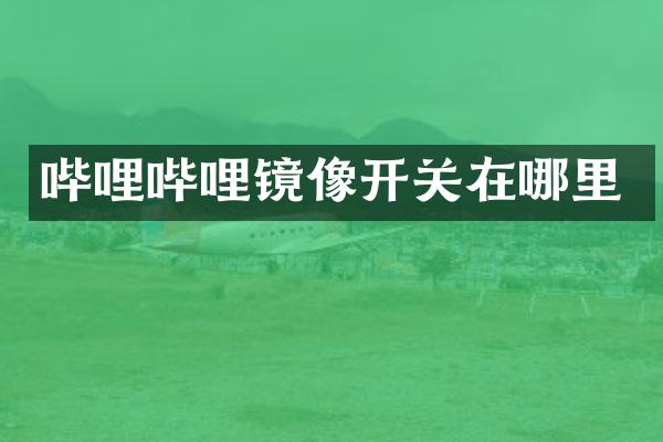哔哩哔哩镜像开关在哪里