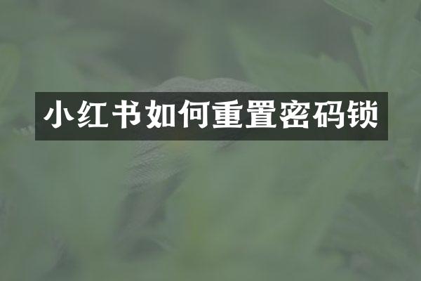小红书如何重置密码锁