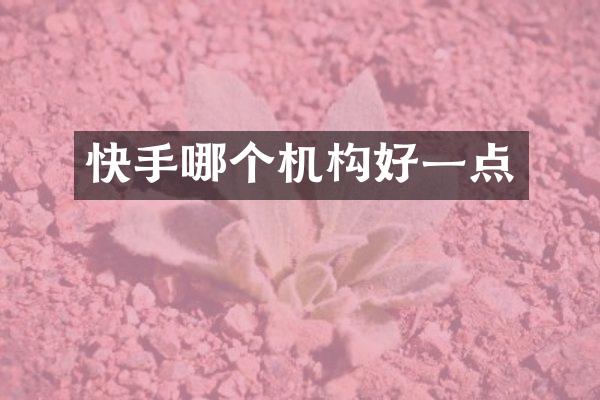 快手哪个机构好一点