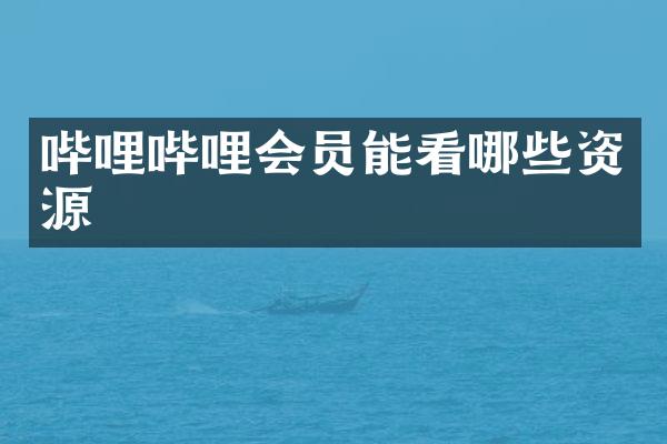 哔哩哔哩会员能看哪些资源