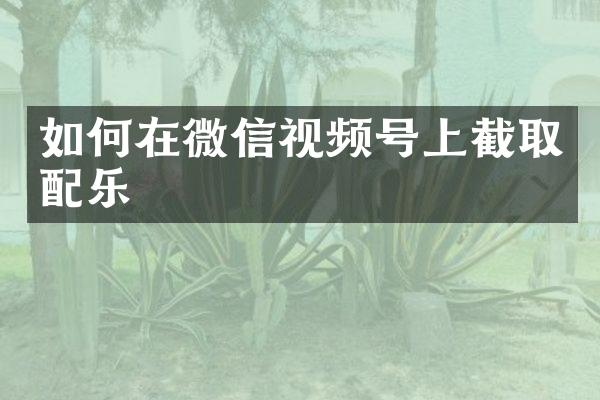 如何在微信视频号上截取配乐