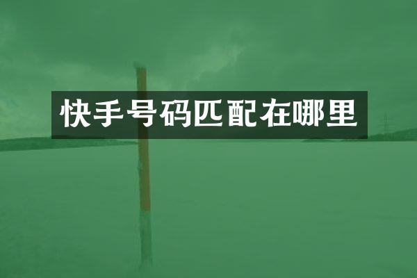 快手号码匹配在哪里