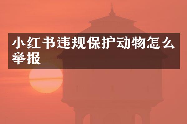 小红书违规保护动物怎么举报