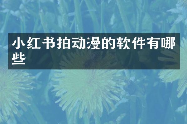 小红书拍动漫的软件有哪些