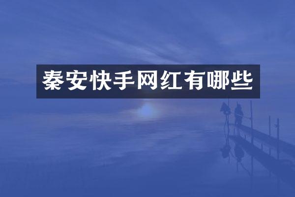 秦安快手网红有哪些